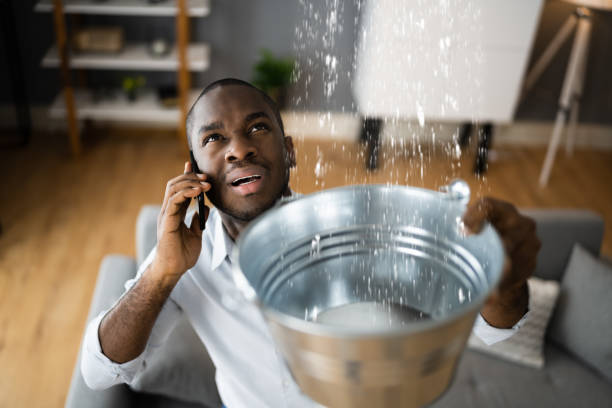 Best Water damage restoration near me  in Evergreen Park, IL