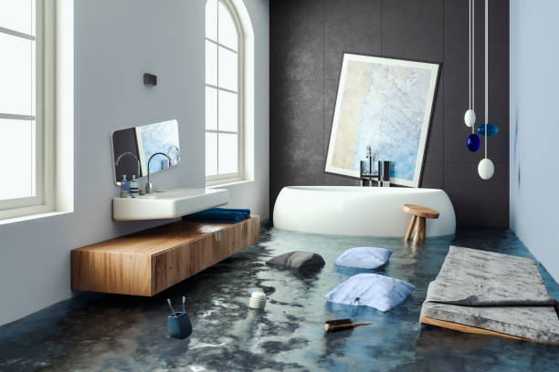 Best Water damage repair service  in Evergreen Park, IL