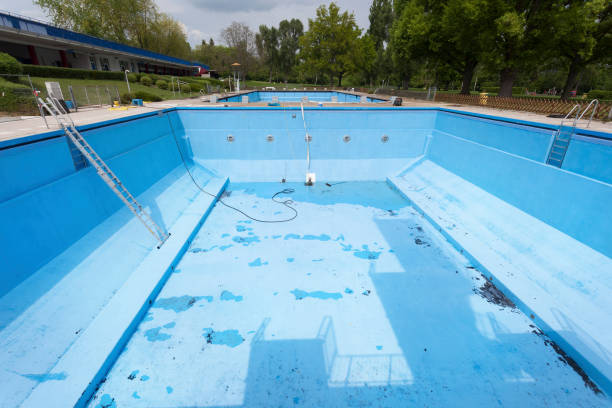Best Flood restoration services  in Evergreen Park, IL
