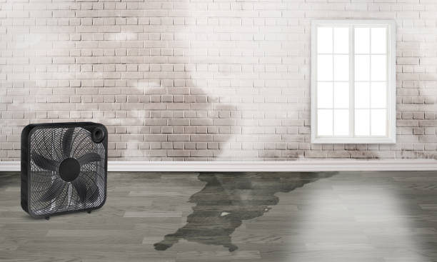 Best Fire Damage Restoration  in Evergreen Park, IL