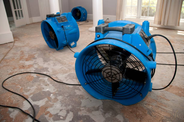 Best Flood damage cleanup  in Evergreen Park, IL