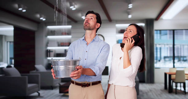 Best 24/7 water damage repair  in Evergreen Park, IL